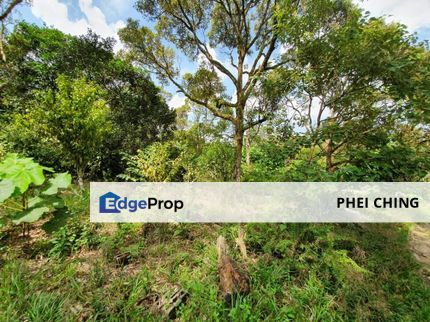 Balik Pulau - 4.919 acres Durian Orchard for SALE, Penang, Balik Pulau
