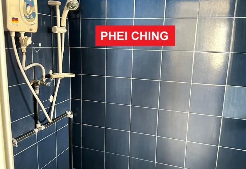 Lintang Sungai Ara 1