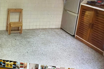 Single Storey Terrace House