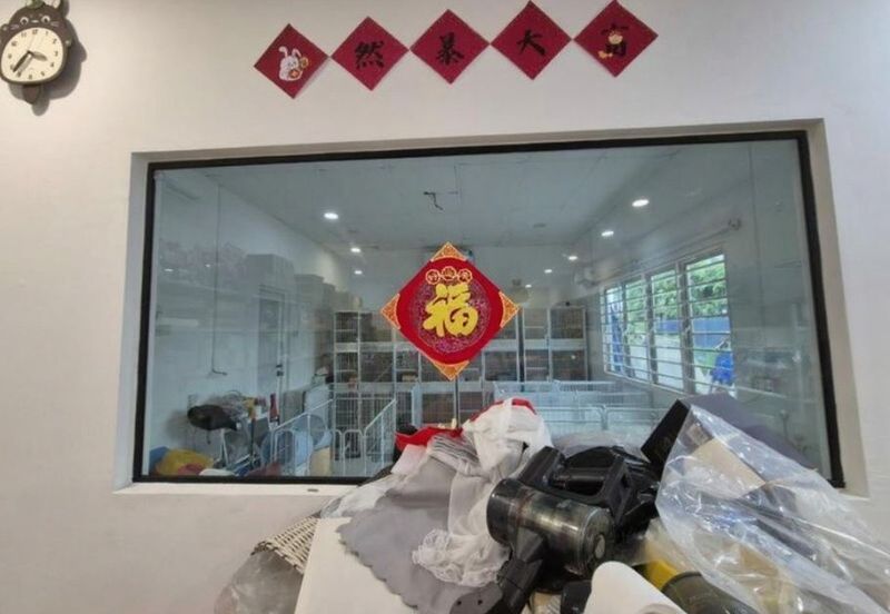 Commercial Bungalow at Jalan Utara, Petaling Jaya for Rent