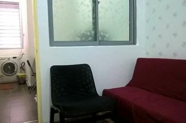 Taragon Puteri Bintang