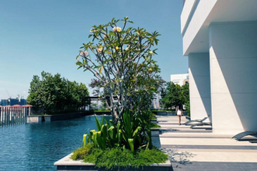 Lexa Residence @ The Quartz