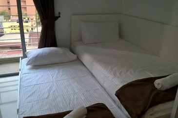 Taragon Puteri Bintang