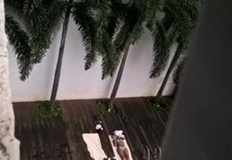 Taragon Puteri Bintang