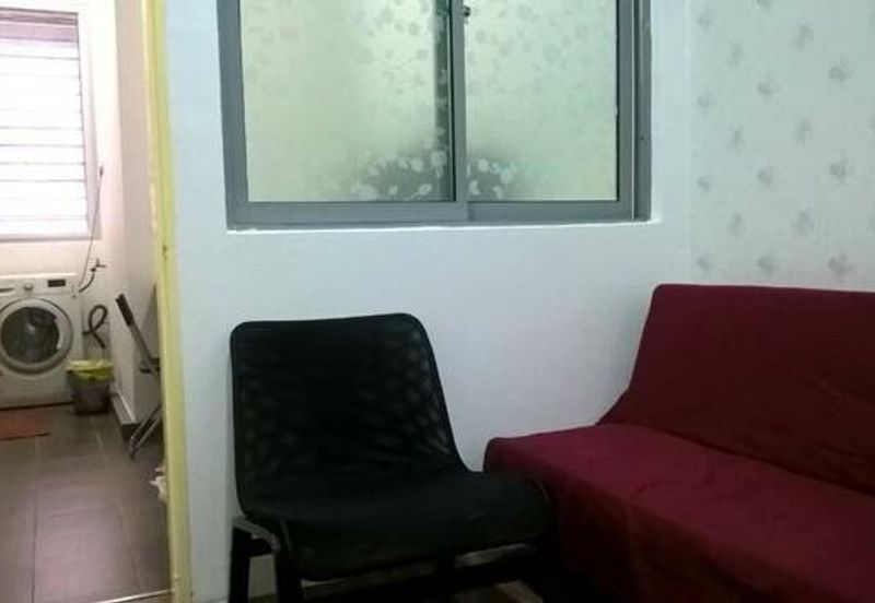 Taragon Puteri Bintang