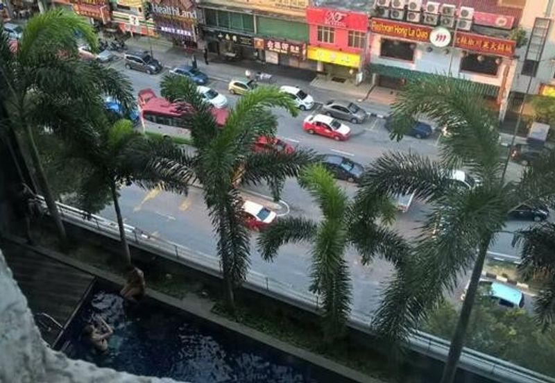 Taragon Puteri Bintang