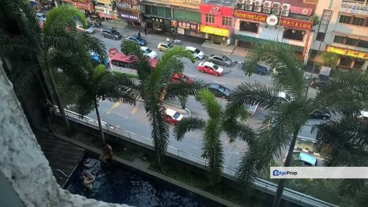 Taragon Puteri Bintang, , 