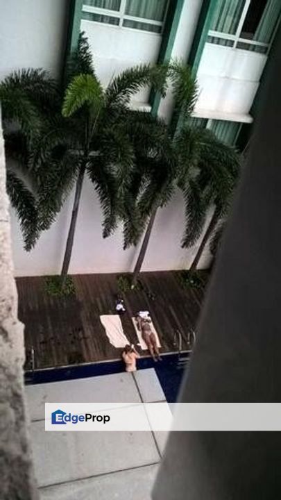 Taragon Puteri Bintang, , 