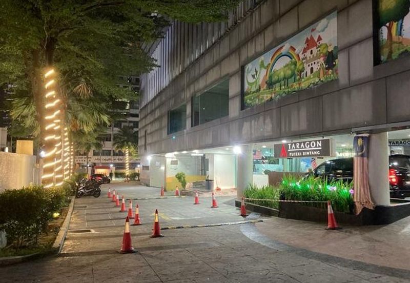 Taragon Puteri Bintang