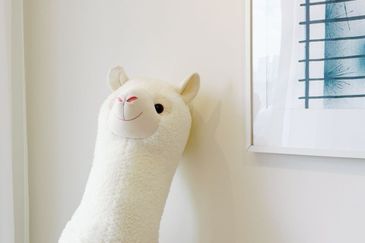 Emerald 9 Condominium