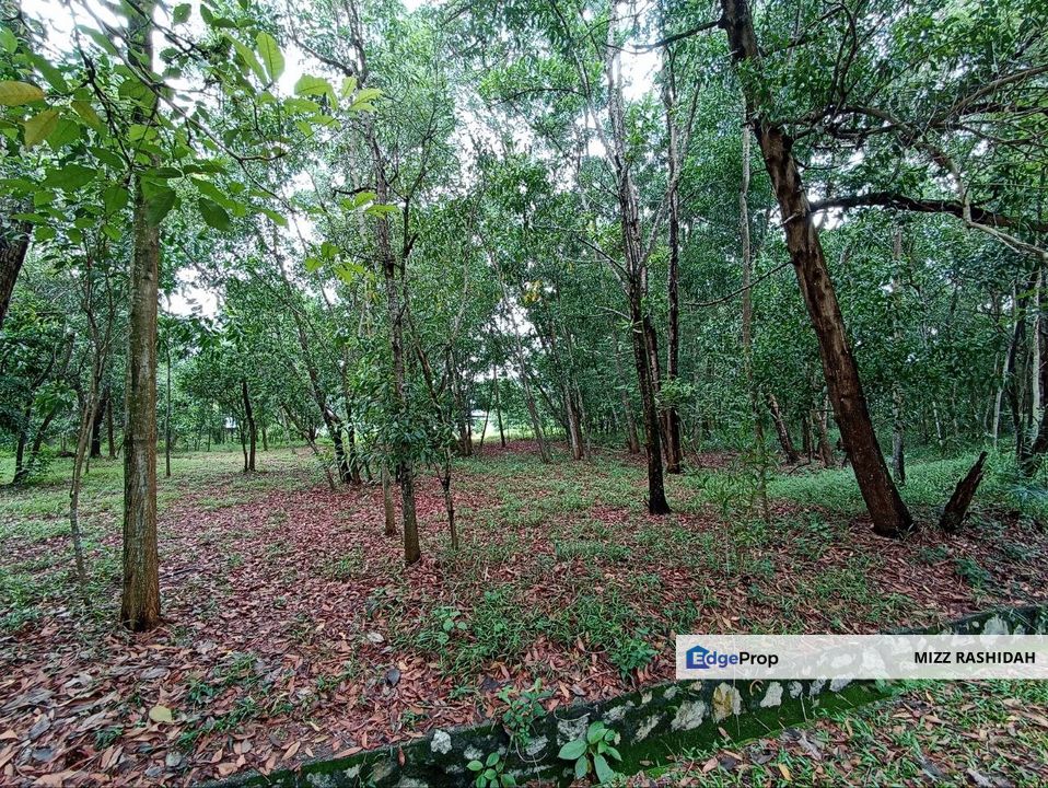 PUTRA HEIGHTS, SUBANG JAYA SELANGOR, BUNGALOW LOT  Putra Crest FOR SALE, Selangor, Subang Jaya