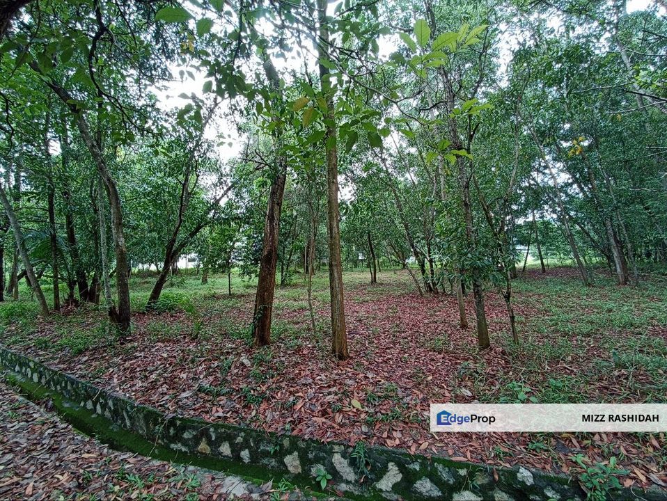 PUTRA HEIGHTS, SUBANG JAYA SELANGOR, BUNGALOW LOT  Putra Crest FOR SALE, Selangor, Subang Jaya