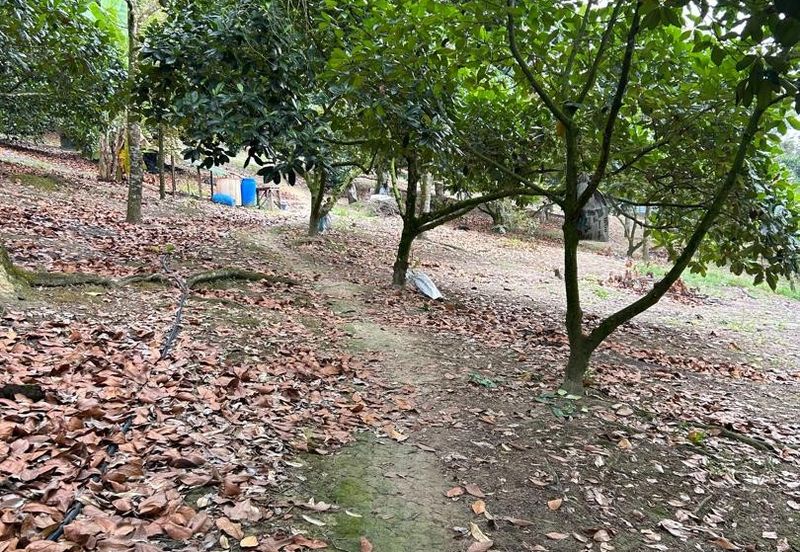 Kampung Mantin Dalam