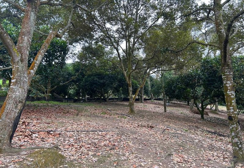 Kampung Mantin Dalam