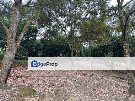 Mantin Freehold Agriculture Land Planted With Durians Access Road Availbale , Negeri Sembilan, Mantin
