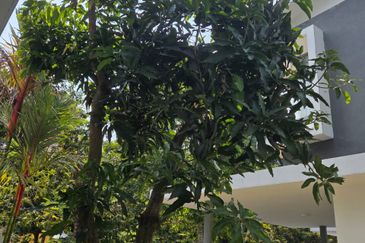 Summerglades, Perdana Lakeview West