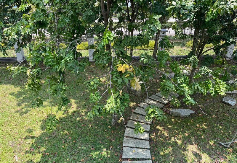 Summerglades, Perdana Lakeview West