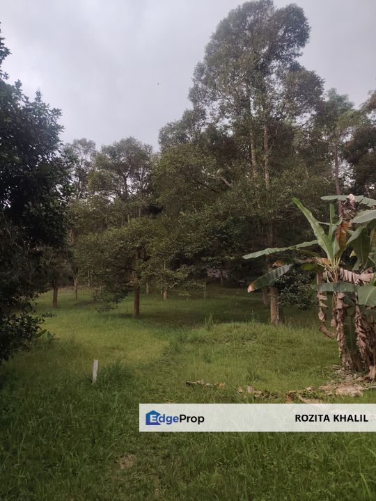 Dusun Hulu Langat Batu 15 ada akses jalan serta rumah banglo untuk dijual, Selangor, Hulu Langat