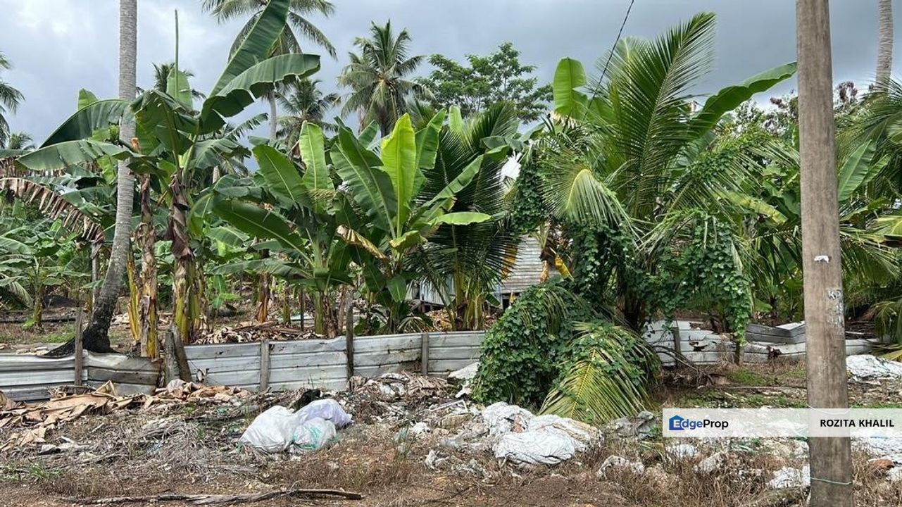 Kampung Perepat Kapar Agriculture Land For Sale, Selangor, Kapar 