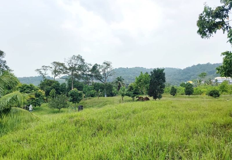 Kampung Jenderam Hulu