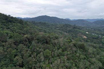 Dusun Tua, Batu 17