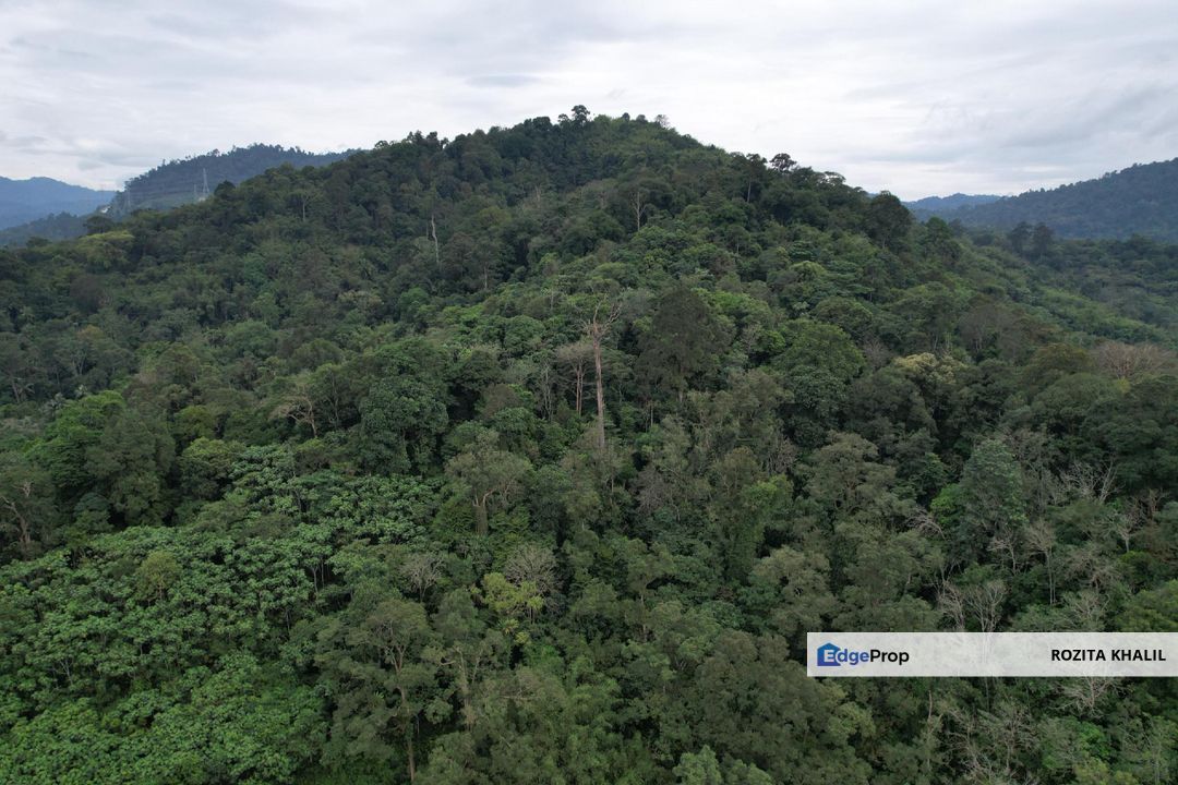 Batu 17 Hulu Langat Agricultural Land For Sale, Selangor, Hulu Langat