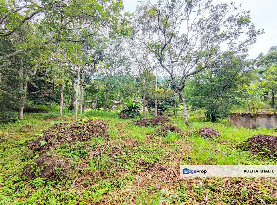 Agricultural Land Janda Baik Bentong Pahang For Sale , Pahang, Bentong