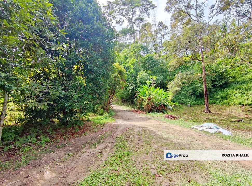 Agricultural Land Janda Baik Bentong Pahang For Sale , Pahang, Bentong