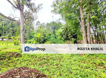 Agricultural Land Janda Baik Bentong Pahang For Sale , Pahang, Bentong