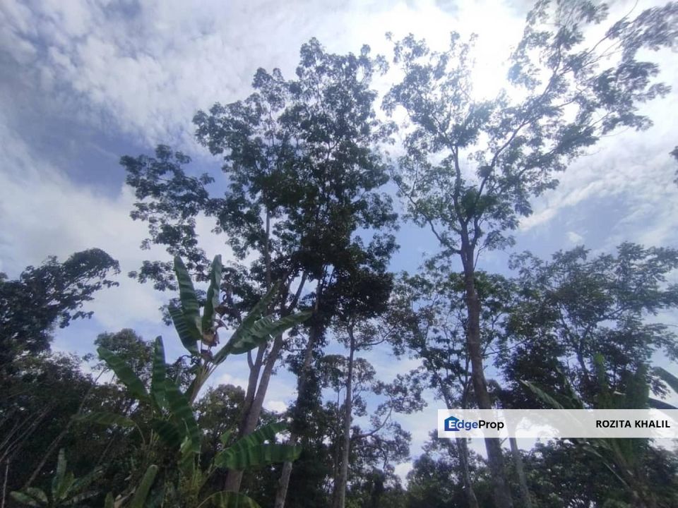 Agricultural Land Tanjung Ipoh Kuala Pilah Negeri Sembilan For Sale , Negeri Sembilan, Kuala Pilah