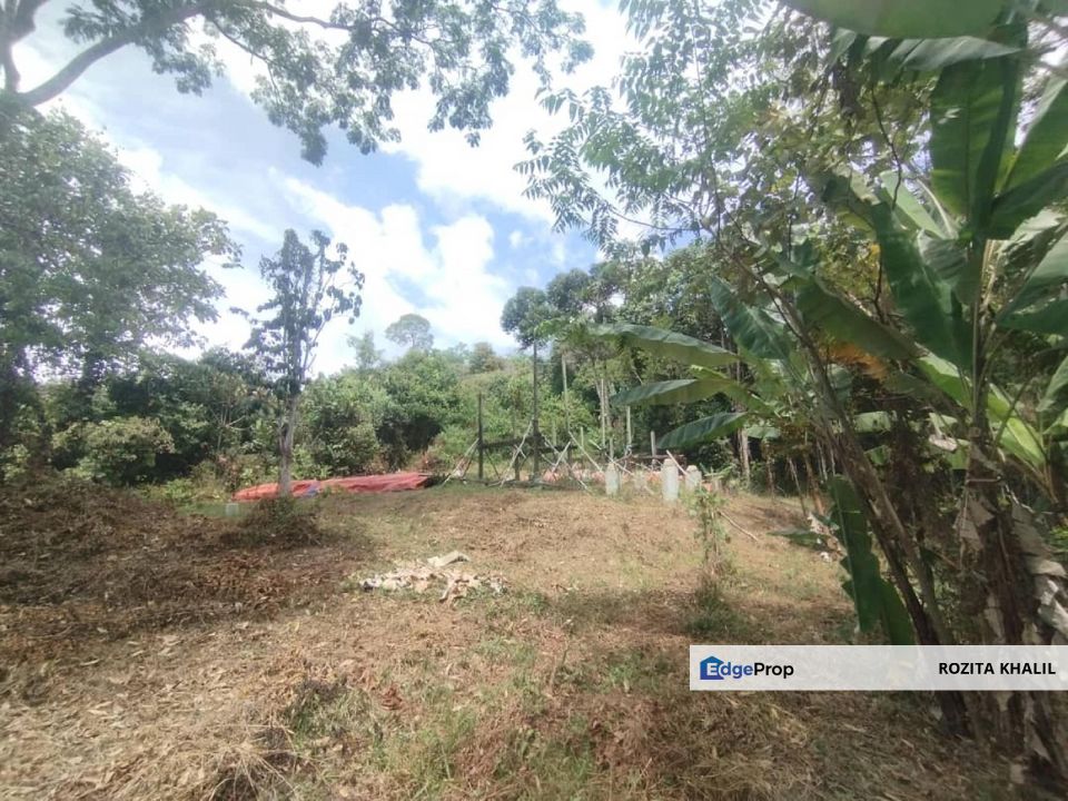 Agricultural Land Tanjung Ipoh Kuala Pilah Negeri Sembilan For Sale , Negeri Sembilan, Kuala Pilah