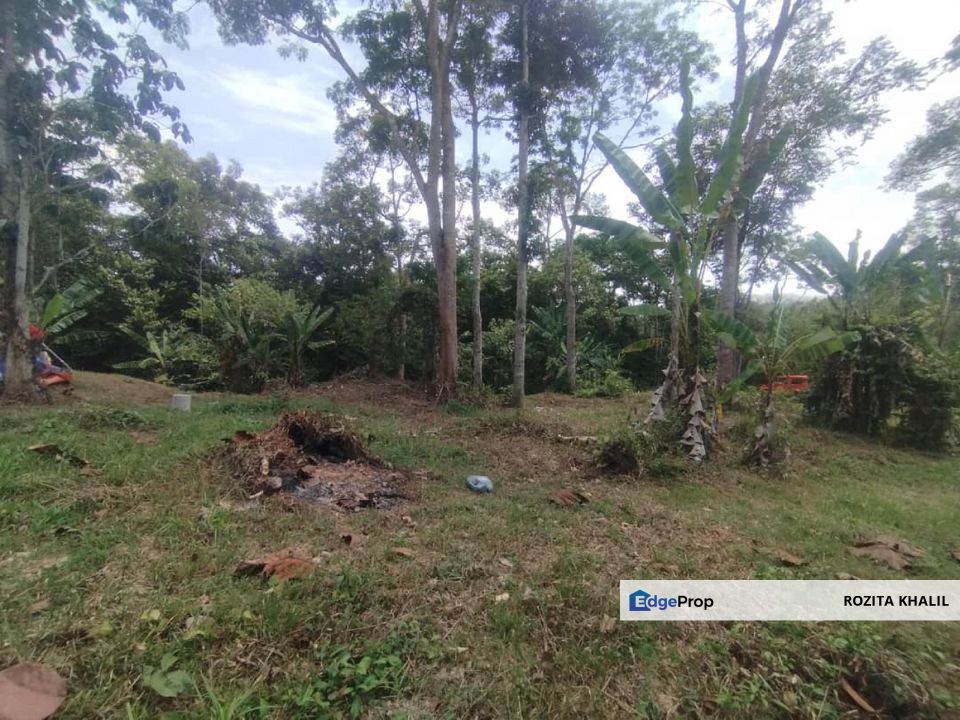 Agricultural Land Tanjung Ipoh Kuala Pilah Negeri Sembilan For Sale , Negeri Sembilan, Kuala Pilah