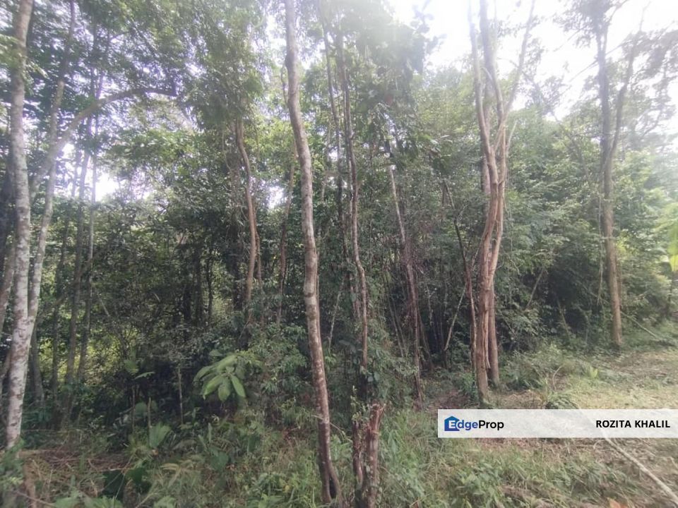 Agricultural Land Tanjung Ipoh Kuala Pilah Negeri Sembilan For Sale , Negeri Sembilan, Kuala Pilah