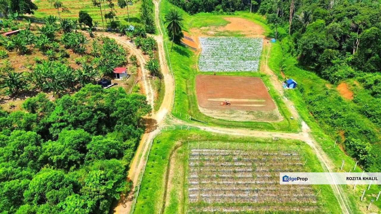 Agricultural Land Johol Kuala Pilah Negeri Sembilan For Sale , Negeri Sembilan, Kuala Pilah