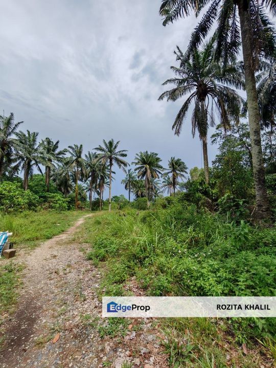 Bukit Damar Dengkil Residential Land For Sale, Selangor, Dengkil