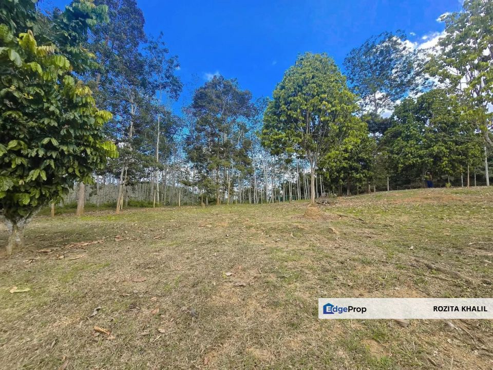 Agricultural Land Bandar Kuala Pilah Negeri Sembilan For Sale, Negeri Sembilan, Kuala Pilah