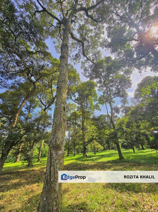 Mantin Agricultural Land For Sale, Negeri Sembilan, Seremban