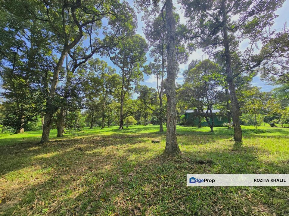 Mantin Agricultural Land For Sale, Negeri Sembilan, Seremban