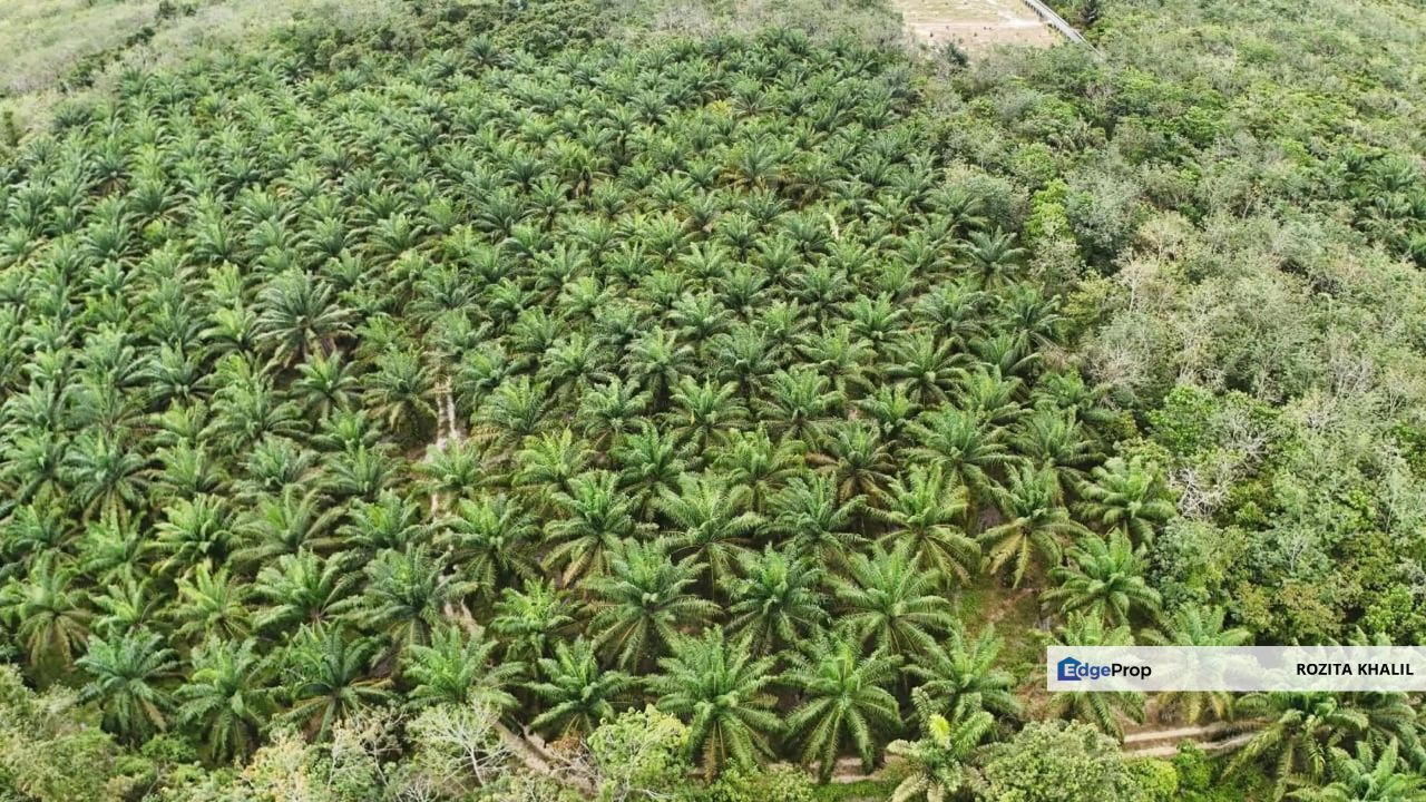 Kuala Pilah Agricultural Land For Sale, Negeri Sembilan, Kuala Pilah