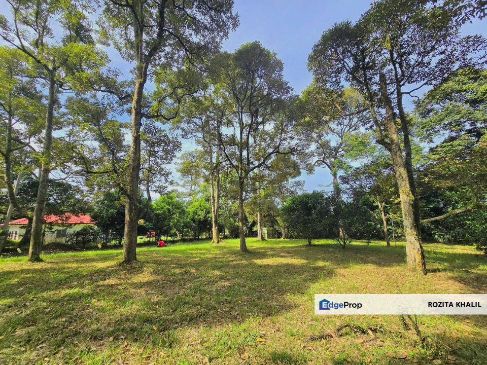 Kuala Pilah Agricultural Land For Sale, Negeri Sembilan, Kuala Pilah