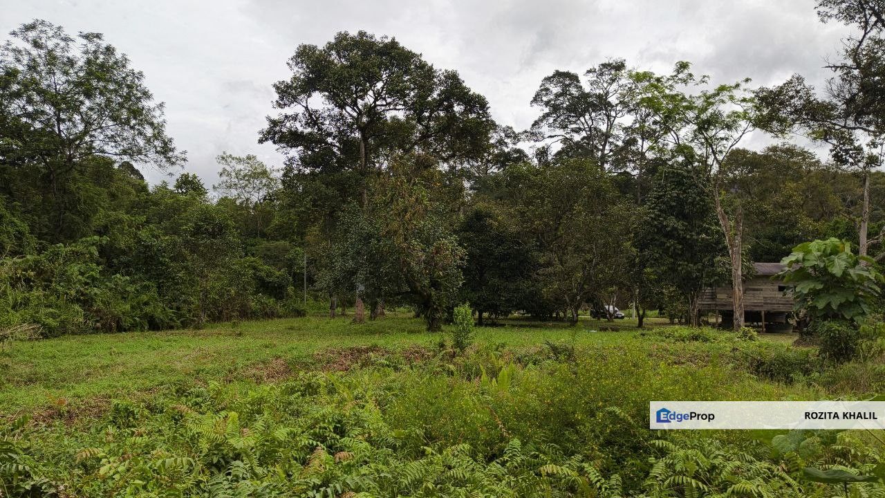 Tanah Dusun Untuk Dijual Kampung Sungai Lui Hulu Langat Selangor , Selangor, Hulu Langat