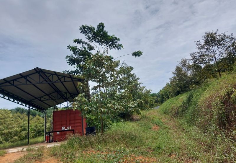 Ulu tiram jalan kota tinggi durian farm for sale