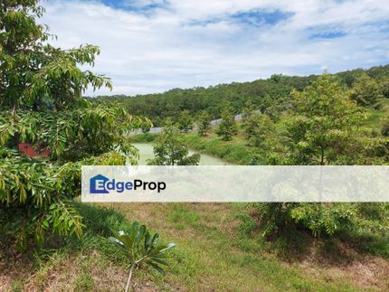 Ulu tiram jalan kota tinggi durian farm for sale, Johor, Ulu Tiram