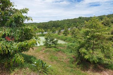 Ulu tiram jalan kota tinggi durian farm for sale