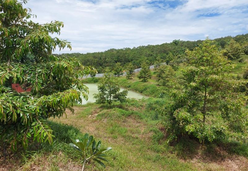 Ulu tiram jalan kota tinggi durian farm for sale