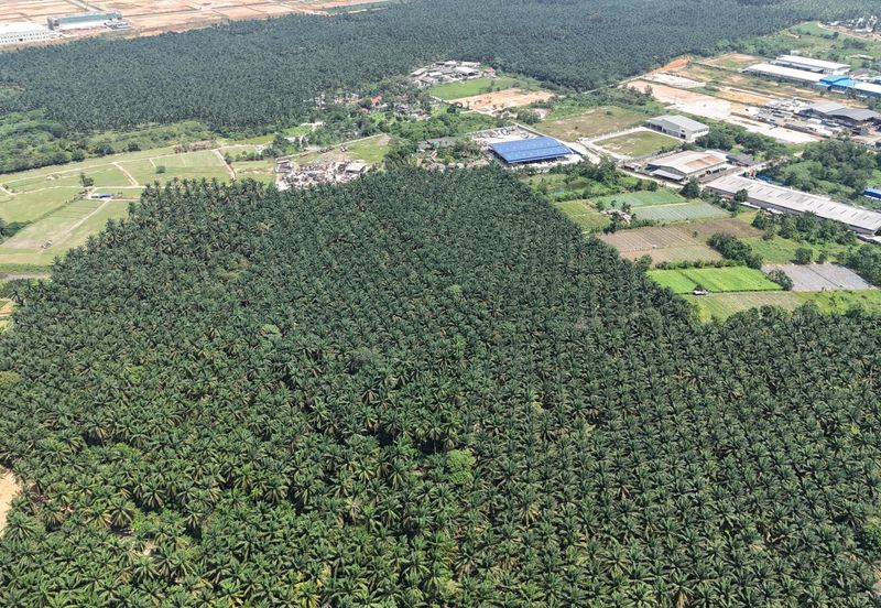 Kawasan Perindustrian Seelong