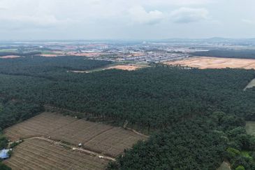 Senai Agriculture Land For Sale