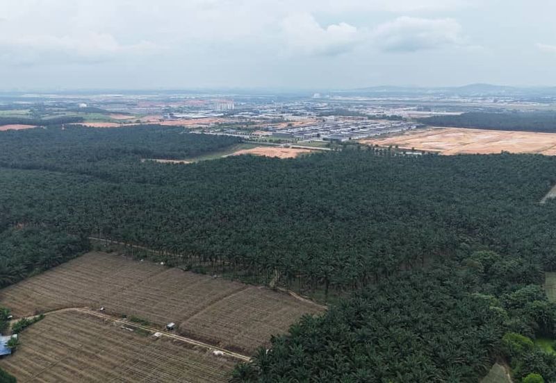 Senai Agriculture Land For Sale