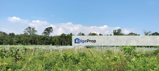 SENAI Johor Agricultural Land, Johor, Kulai