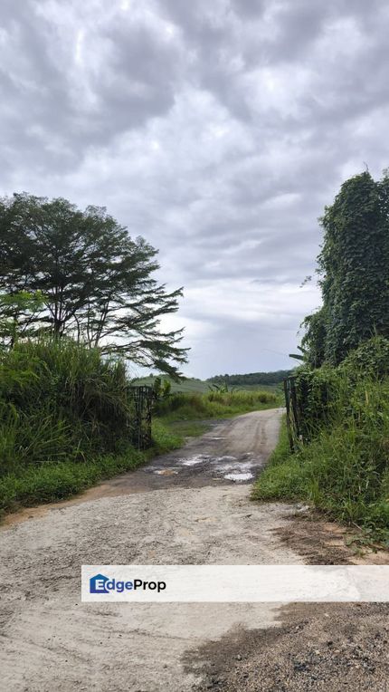 Senai Agricultural Land, Johor, Kulai